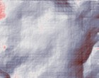 Demogitter